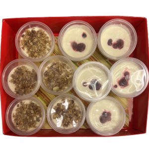 Yoghurt Pots - 10 Pots | TSS